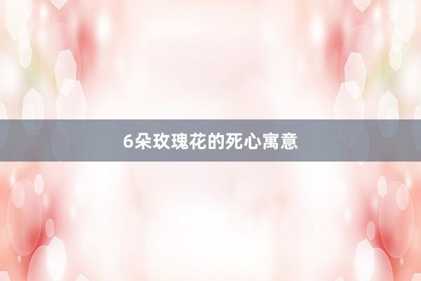 6朵玫瑰花的死心寓意