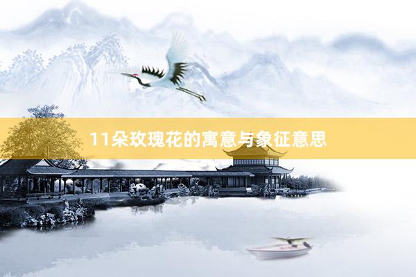 11朵玫瑰花的寓意与象征意思