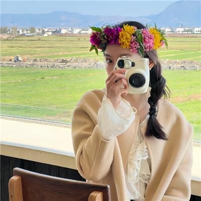 芝加哥警署第十二季